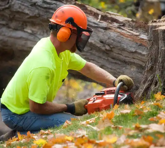 tree services Orangeburg